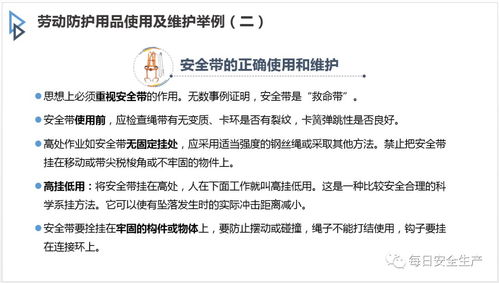 勞動防護(hù)用品使用與日常管理培訓(xùn)指南