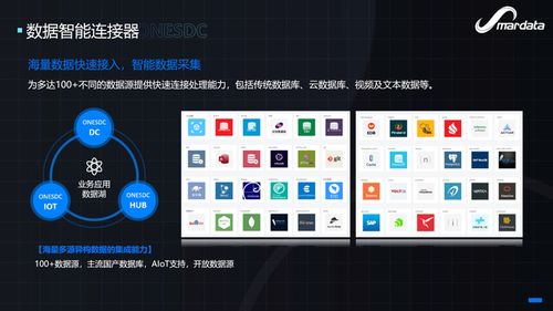 軟件能力，重新想象 數(shù)睿數(shù)據(jù)出席Njsd2021第七屆全球軟件大會(huì)，共話數(shù)字文化創(chuàng)意軟件開發(fā)新篇章